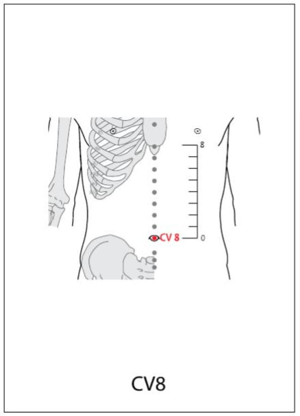 CV 8 Acupuncture Point