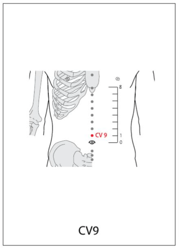 CV 9 Acupuncture Point
