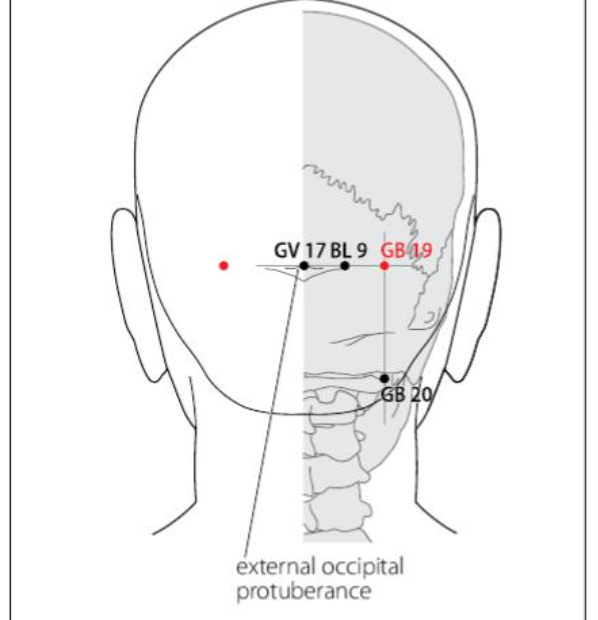 GB 19 Acupuncture Point