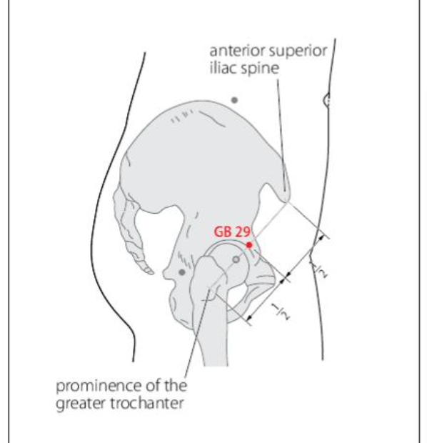 GB 29 Acupuncture Point