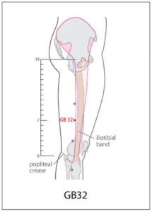 GB 32 Acupuncture Point - Acupuncture Point Locations Review