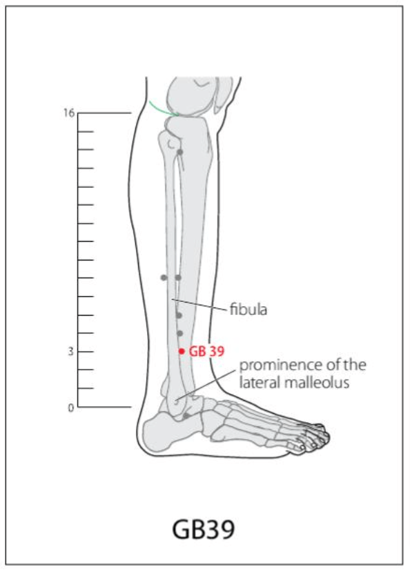 GB 39 Acupuncture Point