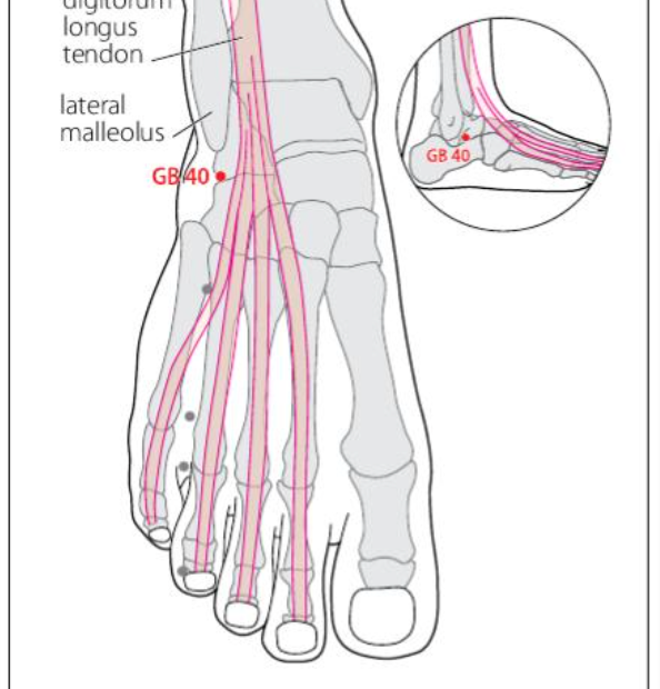GB 40 Acupuncture Point