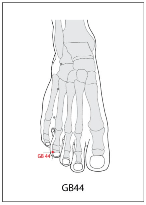 GB 44 Acupuncture Point
