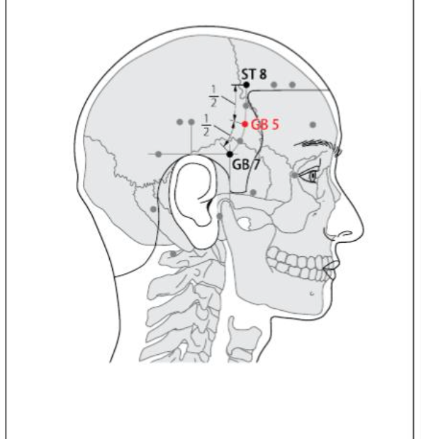 GB 5 Acupuncture Point