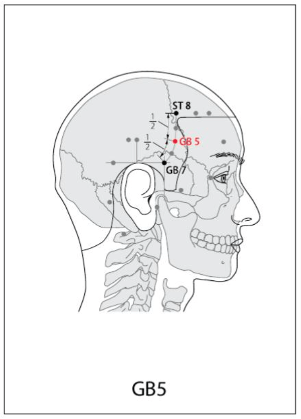 GB 5 Acupuncture Point