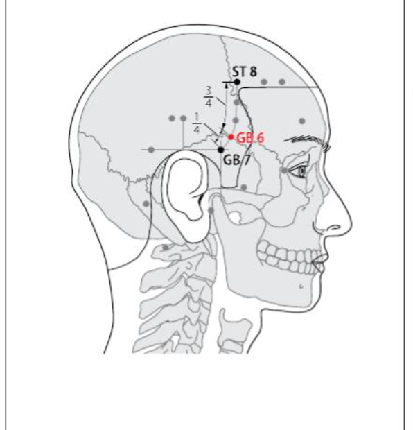 GB 6 Acupuncture Point