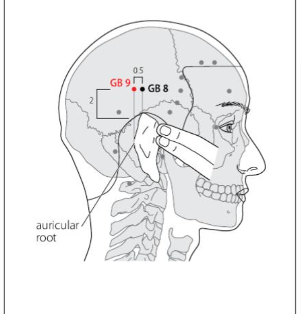 GB 9 Acupuncture Point