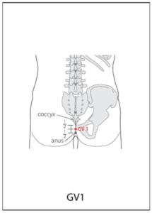 Gv16 Point GV 1 Acupuncture Point - Acupuncture Point Locations Review