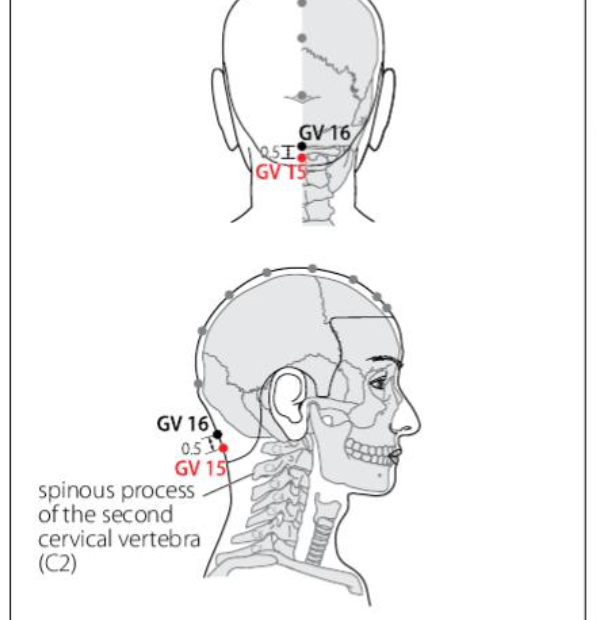 GV 15 Acupuncture Point