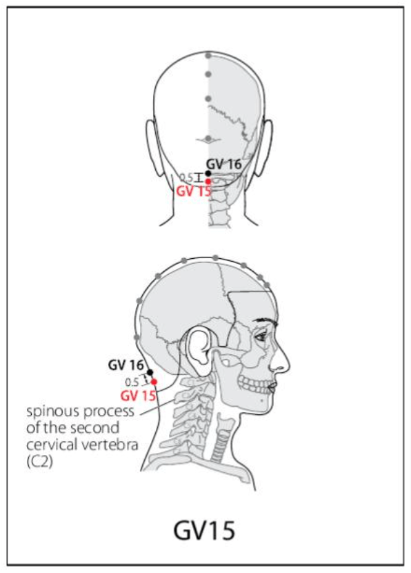 GV 15 Acupuncture Point