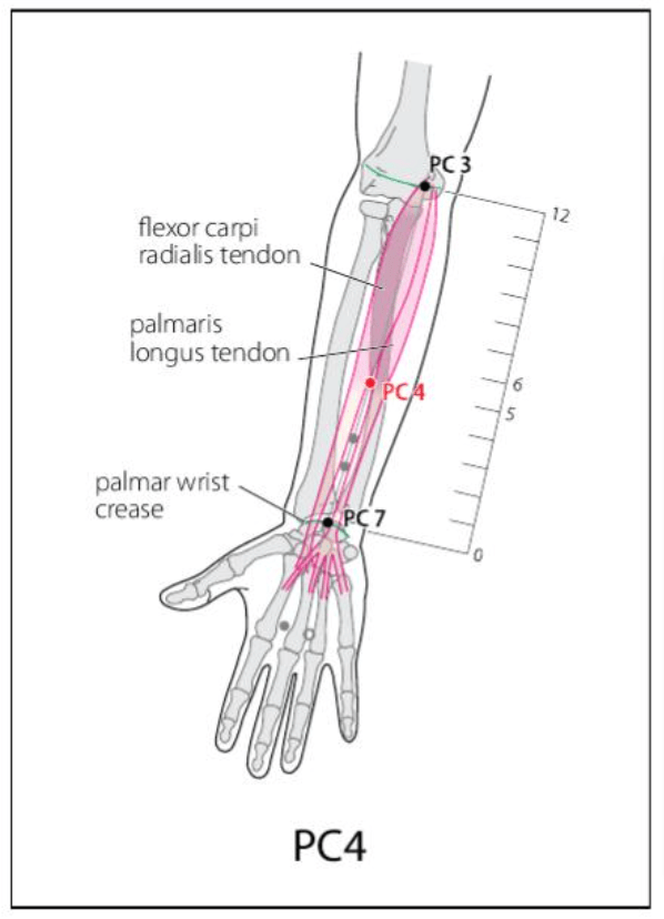 PC 4 Acupuncture Point