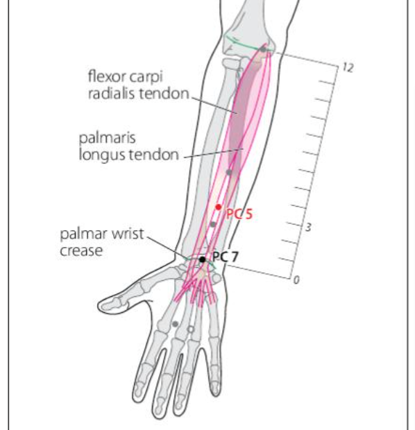 PC 5 Acupuncture Point