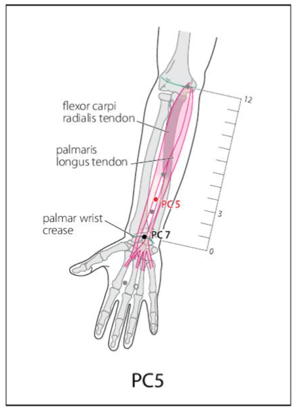 PC 5 Acupuncture Point