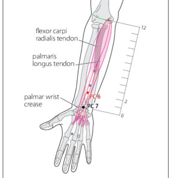 PC 6 Acupuncture Point
