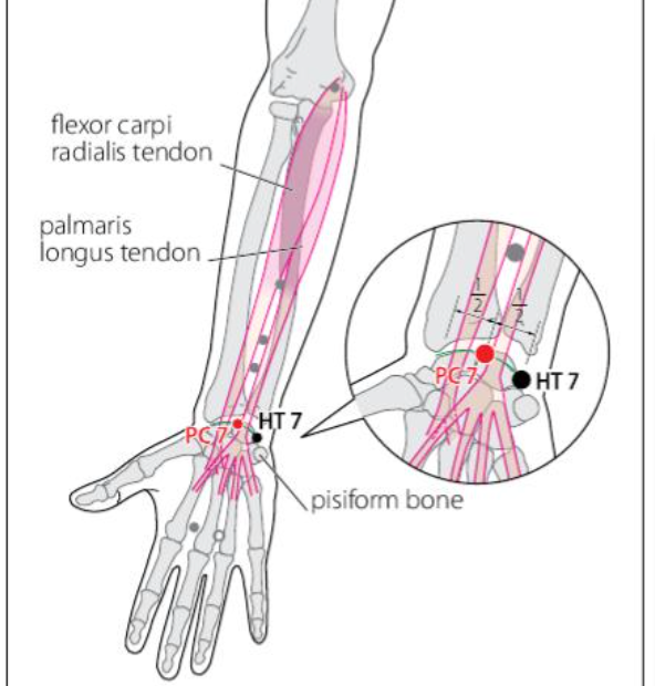 PC 7 Acupuncture Point