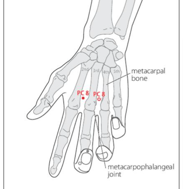 PC 8 Acupuncture Point