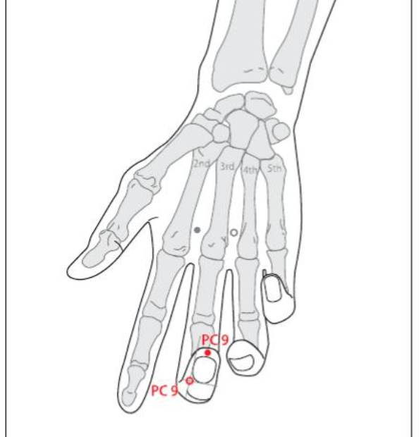 PC 9 Acupuncture Point