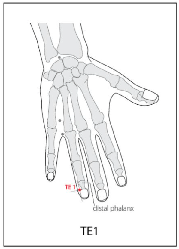 TE 1 Acupuncture Point