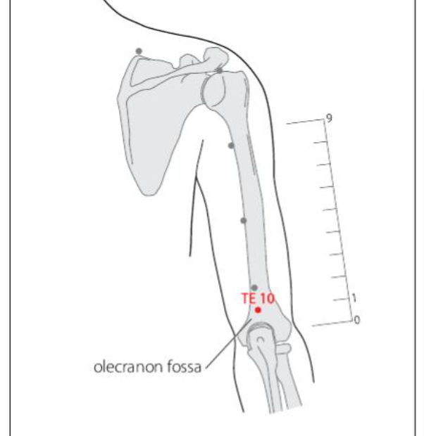 TE 10 Acupuncture Point