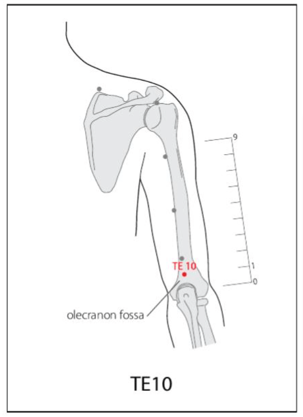 TE 10 Acupuncture Point