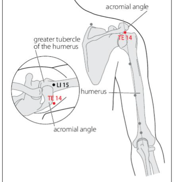 Te 14 Acupuncture Point Acupuncture Point Locations Review