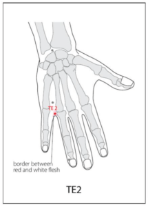 TE 2 Acupuncture Point - Good Shepherd