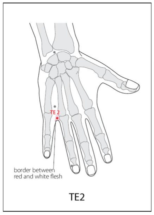 TE 2 Acupuncture Point