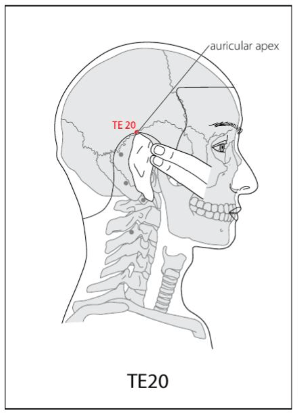 TE 20 Acupuncture Point