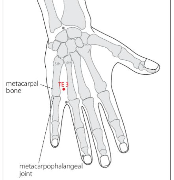 TE 3 Acupuncture Point
