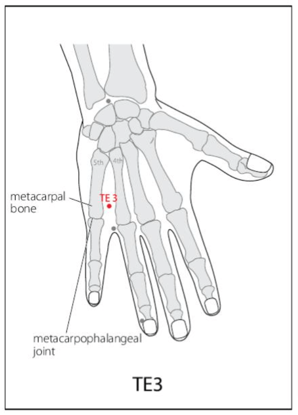 TE 3 Acupuncture Point