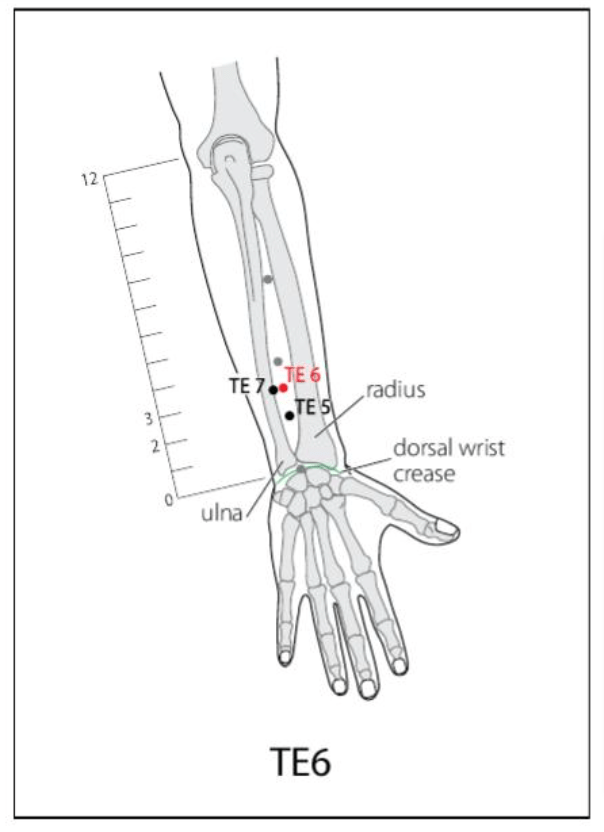 TE 6 Acupuncture Point