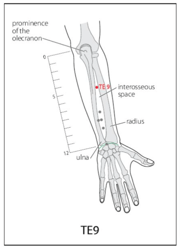 TE 9 Acupuncture Point
