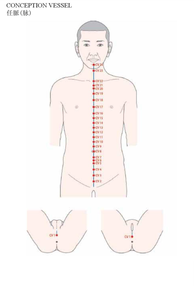 Acupuncture Conception Vessel Meridian