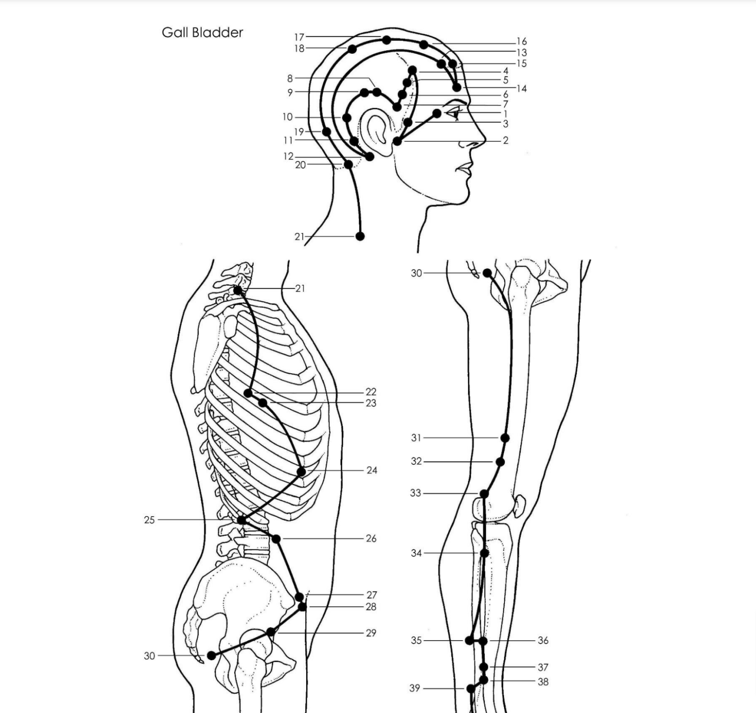 Acupuncture GallBladder Meridian - Good Shepherd