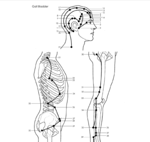 Acupuncture GallBladder Meridian - Good Shepherd