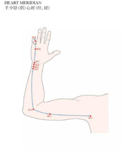 Acupuncture Heart Meridian - Good Shepherd