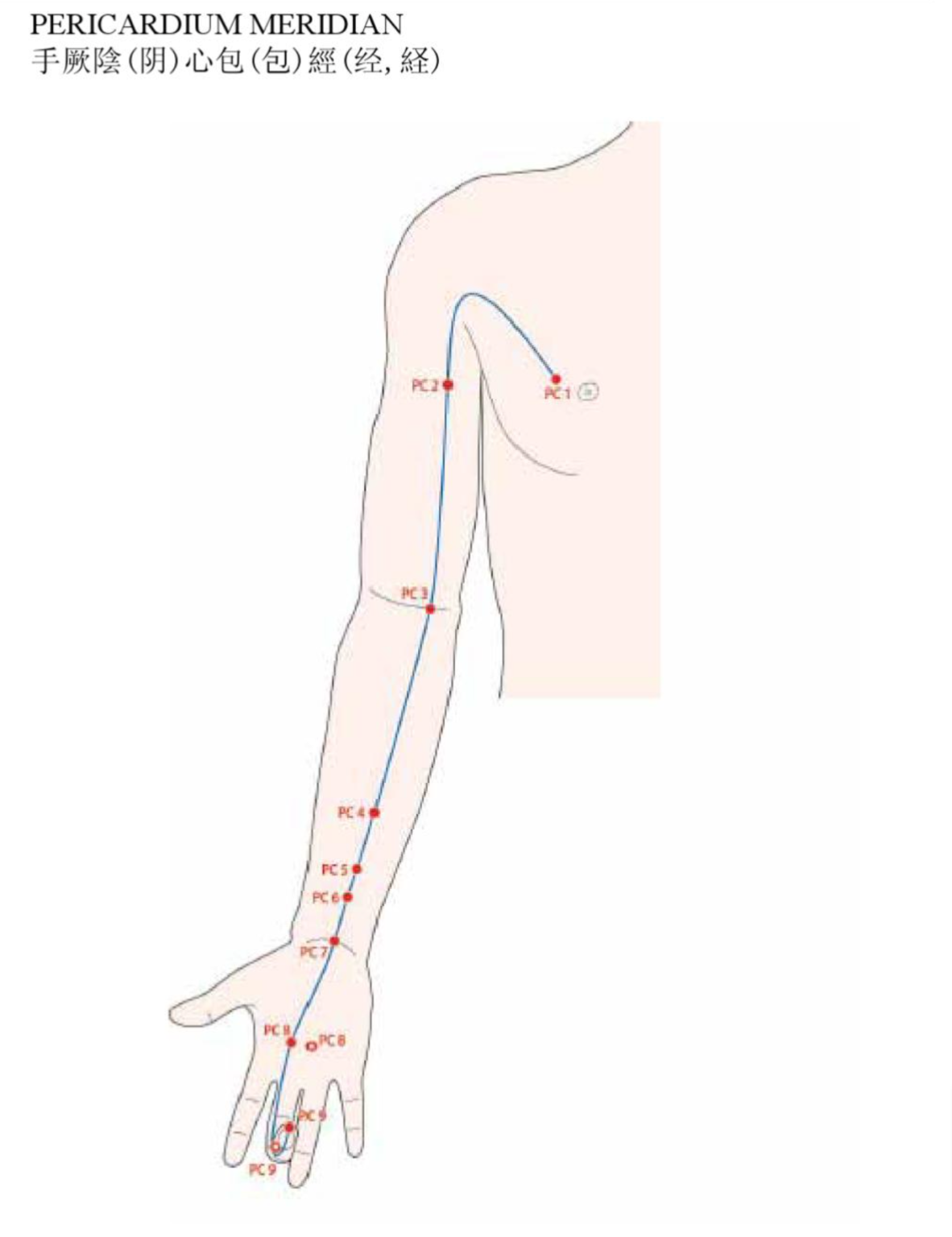 Acupuncture Pericardium Meridian - Good Shepherd